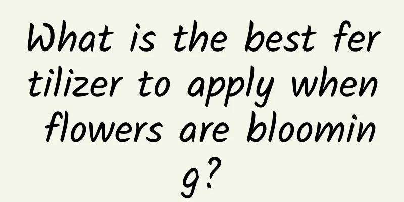 What is the best fertilizer to apply when flowers are blooming?