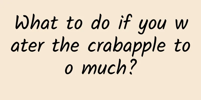 What to do if you water the crabapple too much?