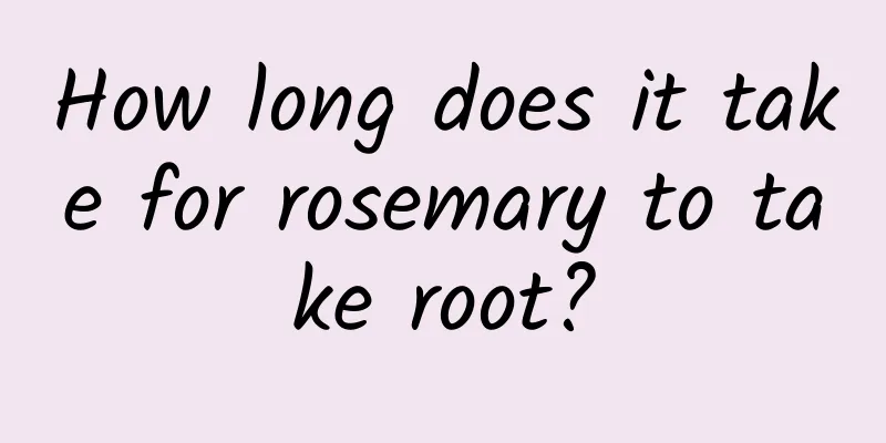 How long does it take for rosemary to take root?