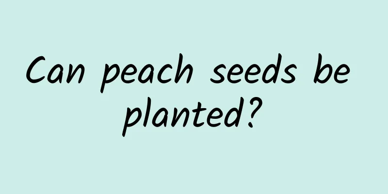 Can peach seeds be planted?