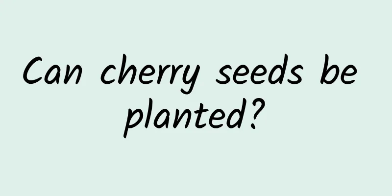 Can cherry seeds be planted?