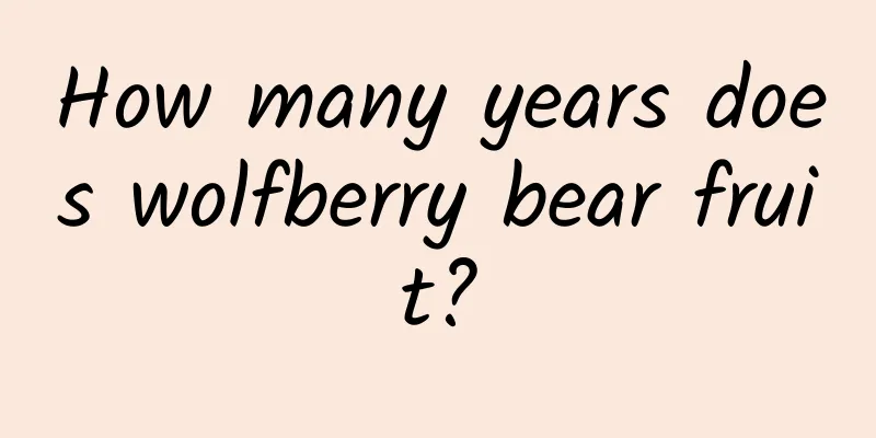 How many years does wolfberry bear fruit?