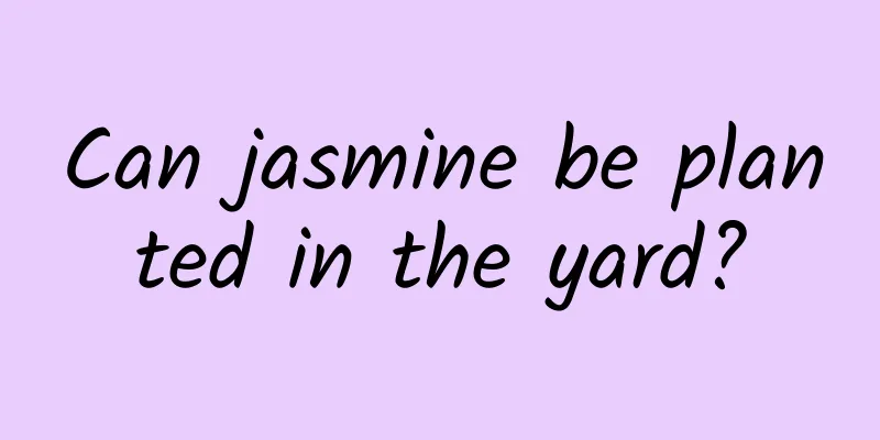 Can jasmine be planted in the yard?