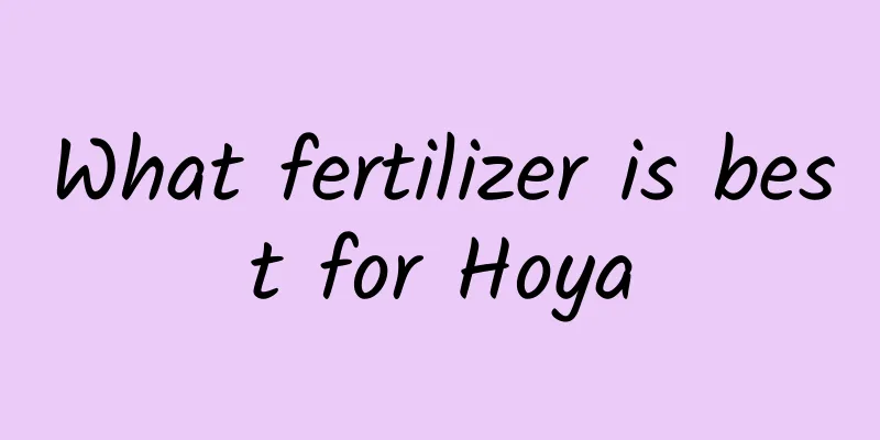 What fertilizer is best for Hoya