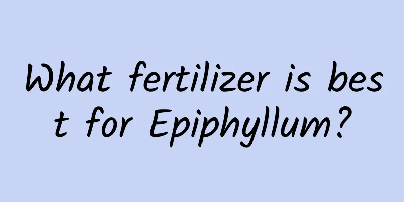 What fertilizer is best for Epiphyllum?