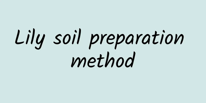 Lily soil preparation method