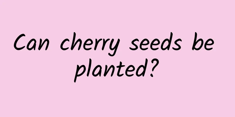 Can cherry seeds be planted?