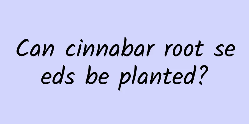 Can cinnabar root seeds be planted?