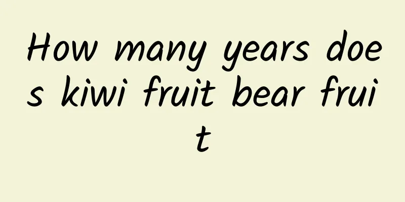 How many years does kiwi fruit bear fruit