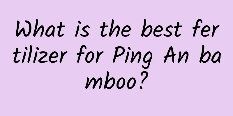 What is the best fertilizer for Ping An bamboo?