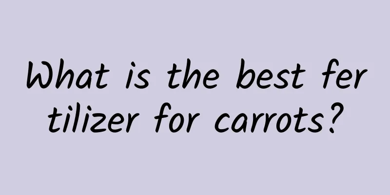 What is the best fertilizer for carrots?
