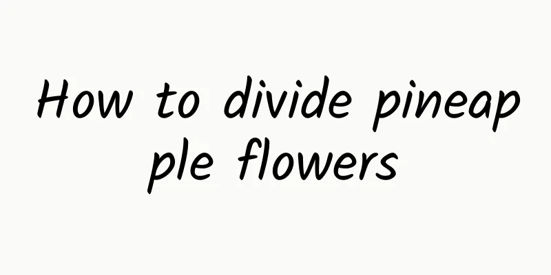How to divide pineapple flowers