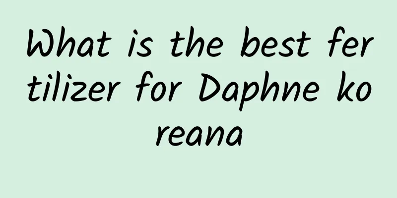 What is the best fertilizer for Daphne koreana