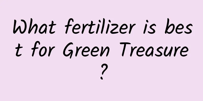 What fertilizer is best for Green Treasure?
