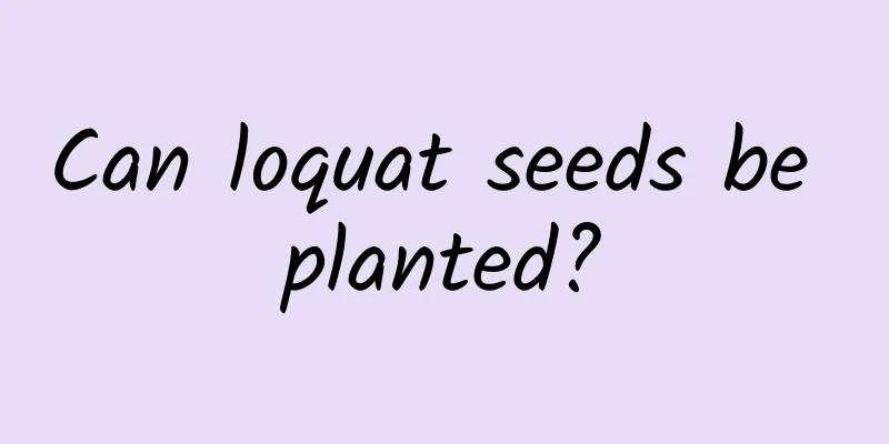 Can loquat seeds be planted?