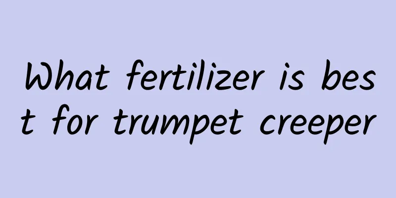What fertilizer is best for trumpet creeper