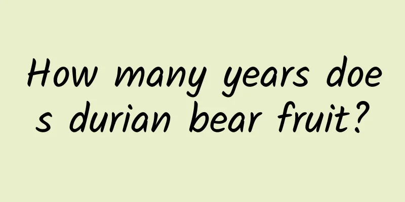 How many years does durian bear fruit?