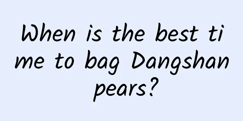 When is the best time to bag Dangshan pears?