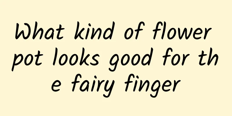 What kind of flower pot looks good for the fairy finger