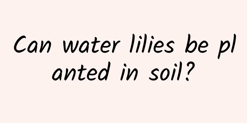 Can water lilies be planted in soil?