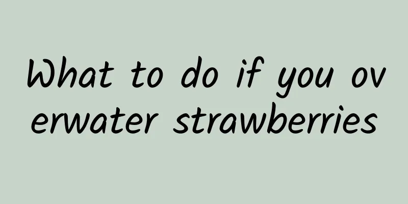 What to do if you overwater strawberries