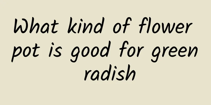 What kind of flower pot is good for green radish