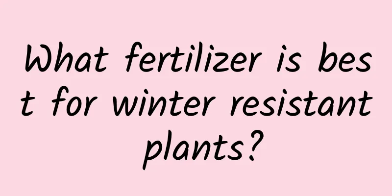 What fertilizer is best for winter resistant plants?