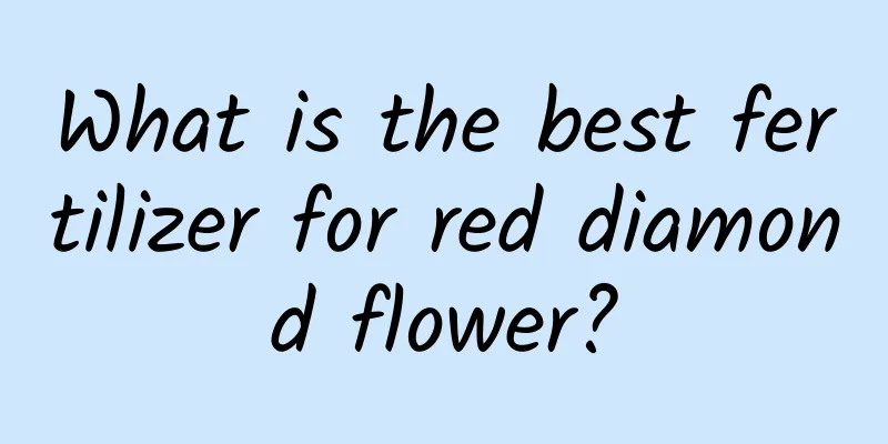 What is the best fertilizer for red diamond flower?