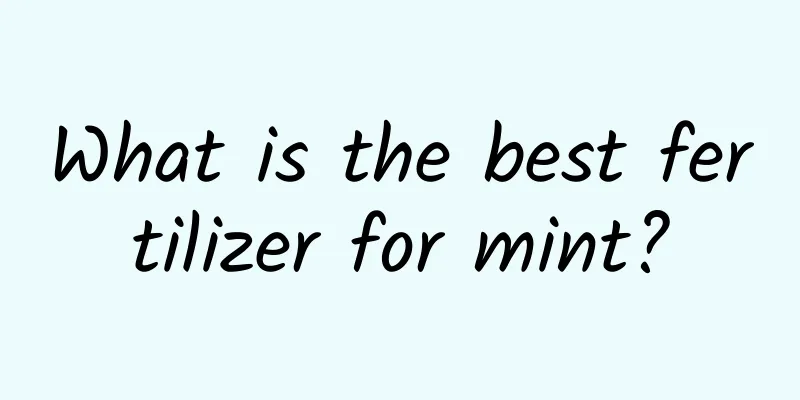 What is the best fertilizer for mint?