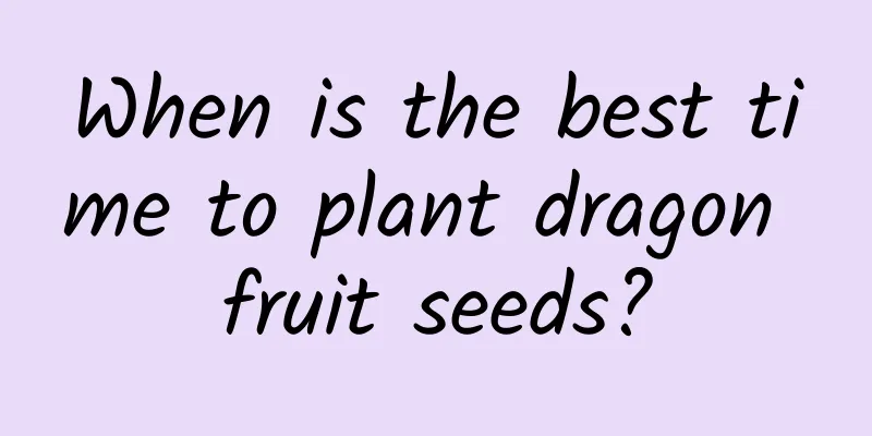 When is the best time to plant dragon fruit seeds?