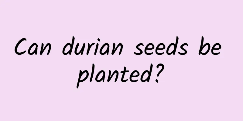 Can durian seeds be planted?