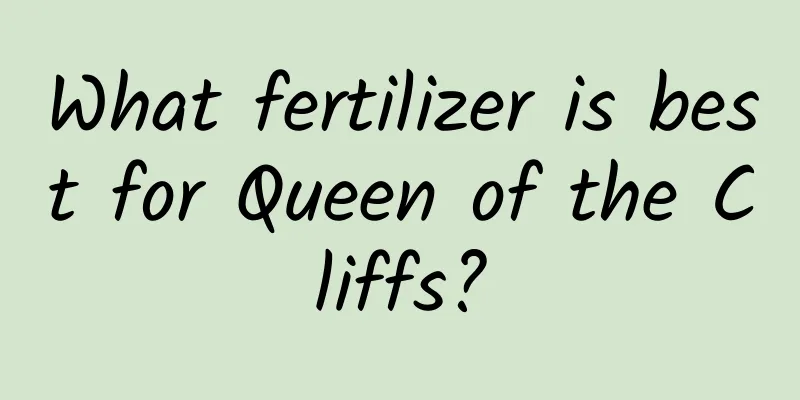 What fertilizer is best for Queen of the Cliffs?