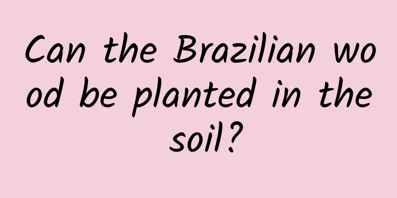 Can the Brazilian wood be planted in the soil?