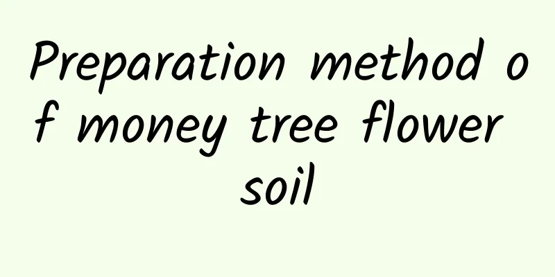 Preparation method of money tree flower soil