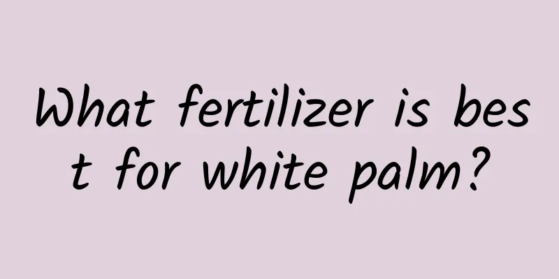 What fertilizer is best for white palm?