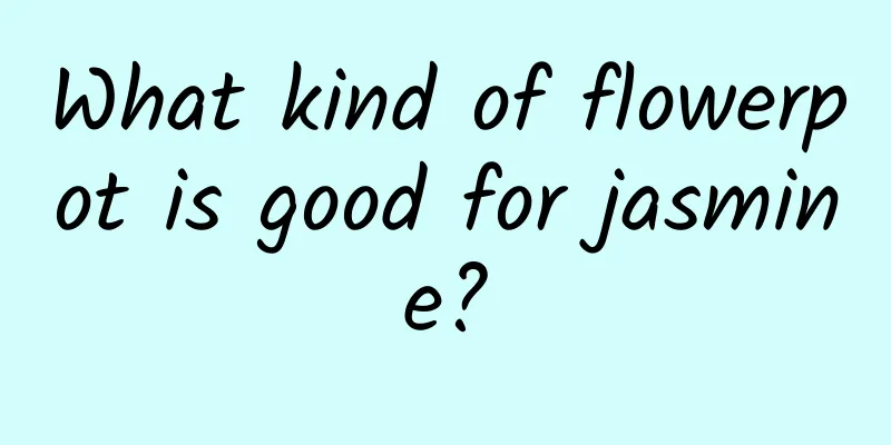 What kind of flowerpot is good for jasmine?