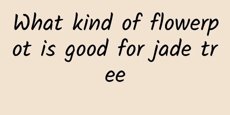 What kind of flowerpot is good for jade tree
