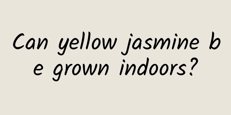 Can yellow jasmine be grown indoors?