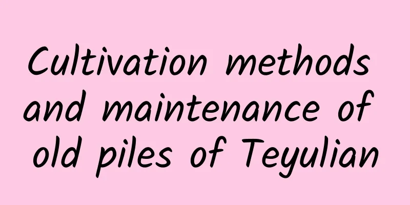 Cultivation methods and maintenance of old piles of Teyulian
