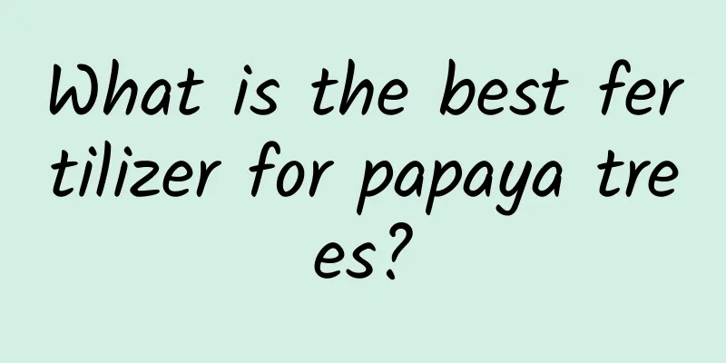 What is the best fertilizer for papaya trees?
