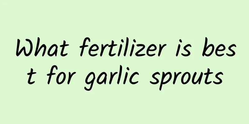 What fertilizer is best for garlic sprouts
