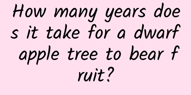 How many years does it take for a dwarf apple tree to bear fruit?