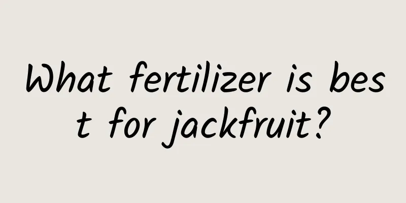 What fertilizer is best for jackfruit?