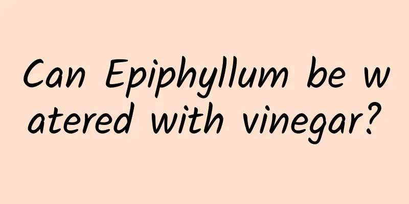 Can Epiphyllum be watered with vinegar?