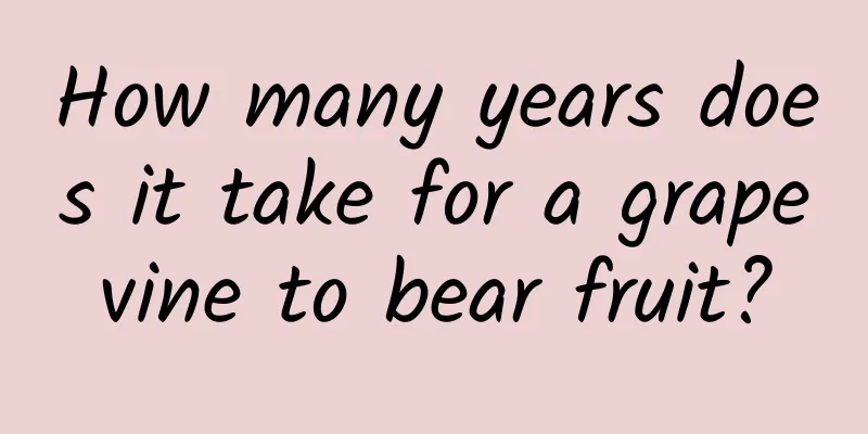 How many years does it take for a grapevine to bear fruit?