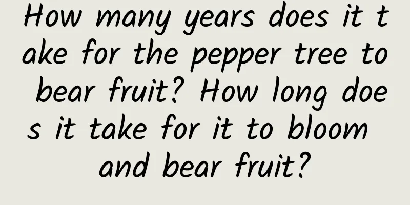 How many years does it take for the pepper tree to bear fruit? How long does it take for it to bloom and bear fruit?