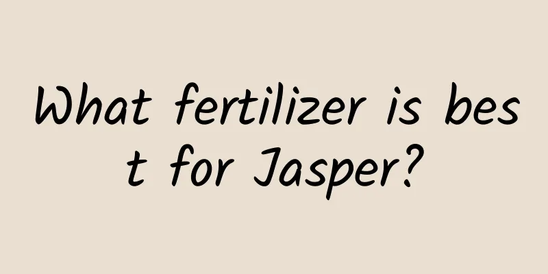 What fertilizer is best for Jasper?