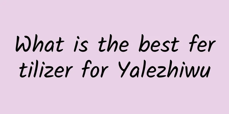 What is the best fertilizer for Yalezhiwu