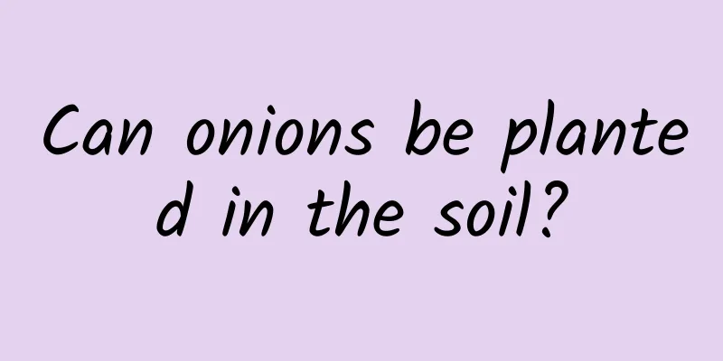 Can onions be planted in the soil?