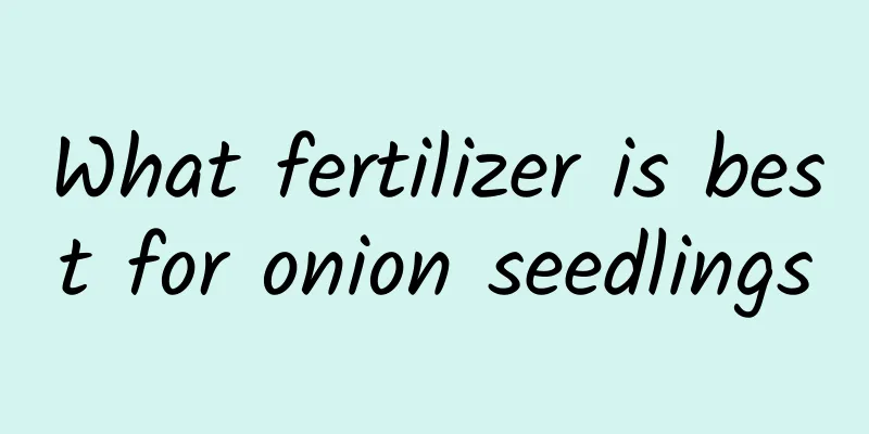 What fertilizer is best for onion seedlings
